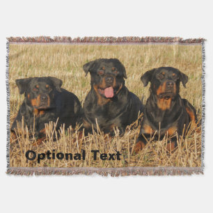 Three Rottweiler Dogs - Pack of Rotties Decke