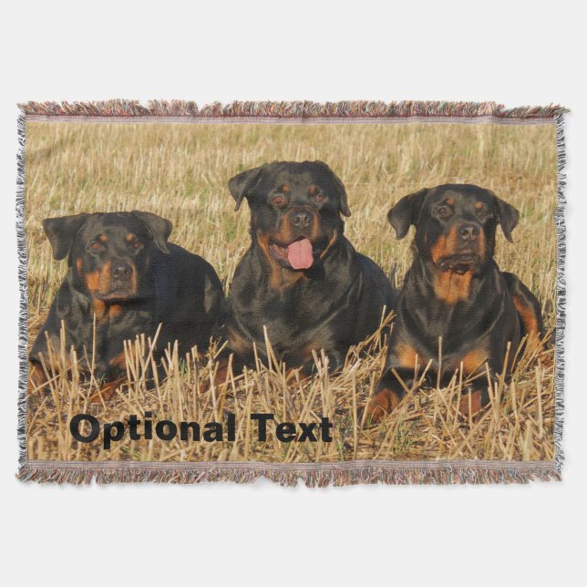 Three Rottweiler Dogs - Pack of Rotties Decke (Vorderseite)