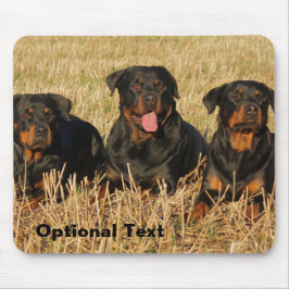 Three Rottweiler Dogs - Pack of Rotties Mousepad