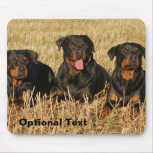 Three Rottweiler Dogs - Pack of Rotties Mousepad