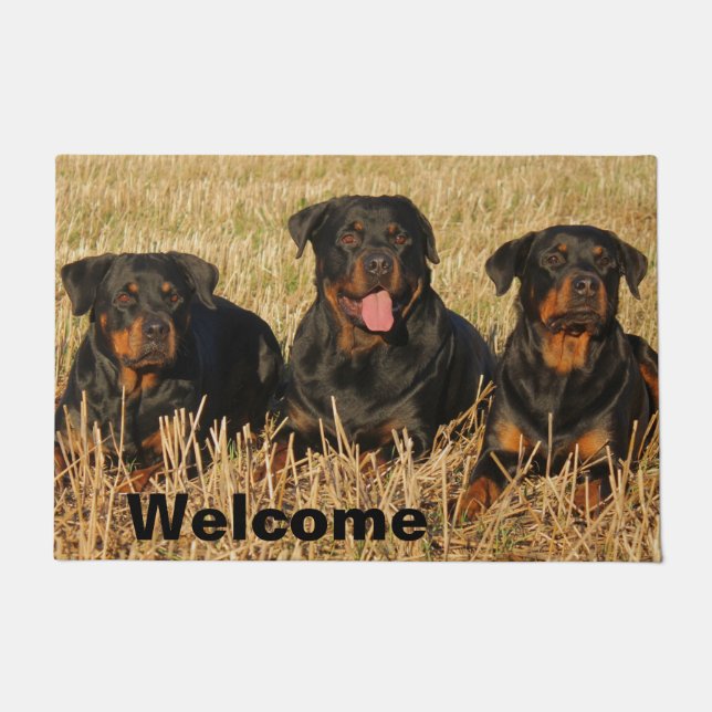 Three Rottweiler Dogs - Pack of Rotties - Willkomm Fußmatte (Vorderseite)