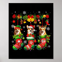 Three Santa Elf Corgis Inside Xmas Socks Owner Kid