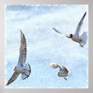 Three Seagulls Wassercolor Poster
