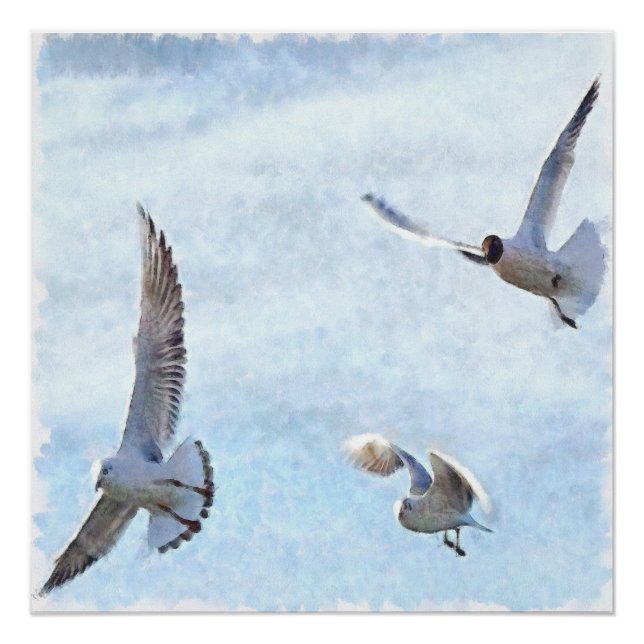 Three Seagulls Wassercolor Poster (Vorderseite)