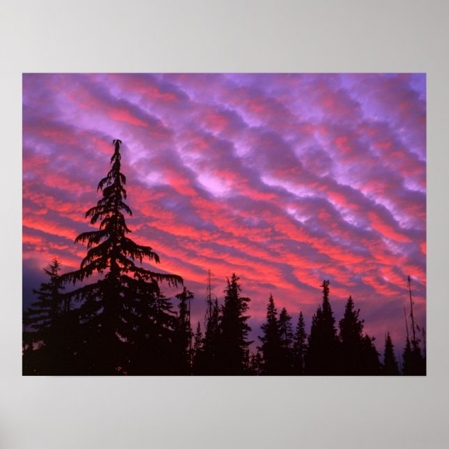 Three Sisters Wilderness, Oregon Poster (Vorne)