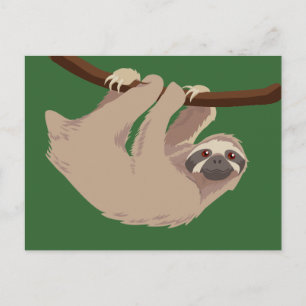 Three Toed Sloth Postkarte