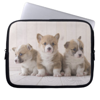 Three Welsh Corgi Laptopschutzhülle