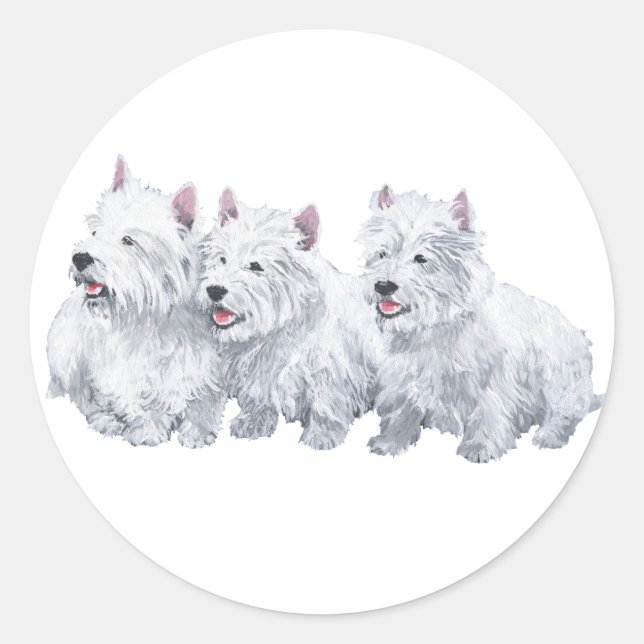Three West Highland White Terriers Runder Aufkleber (Vorderseite)
