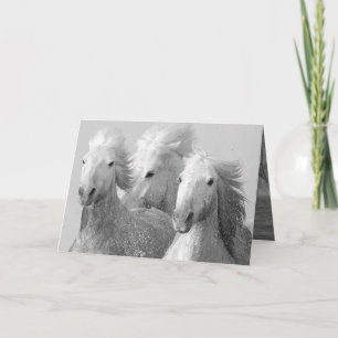 Three White Horses Greeting Card Karte