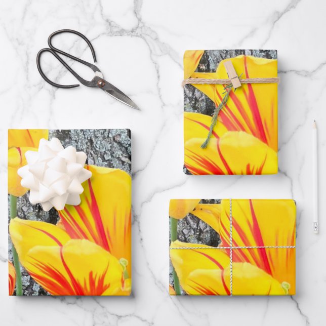 Three Yellow Tulips Sequel / Geschenkpapier Set (Vorderseite)