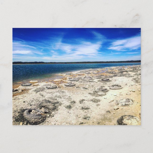 Thrombolites, Lake Thetis Western Australien Postkarte (Vorderseite)