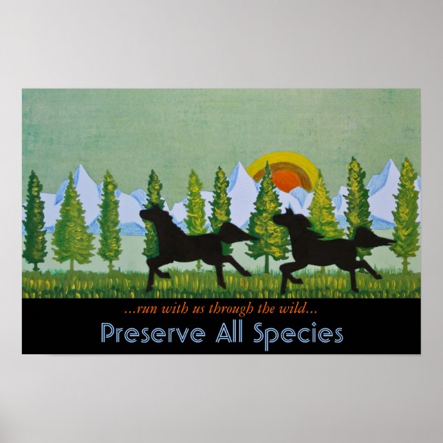 Through the Wild Poster (Vorne)