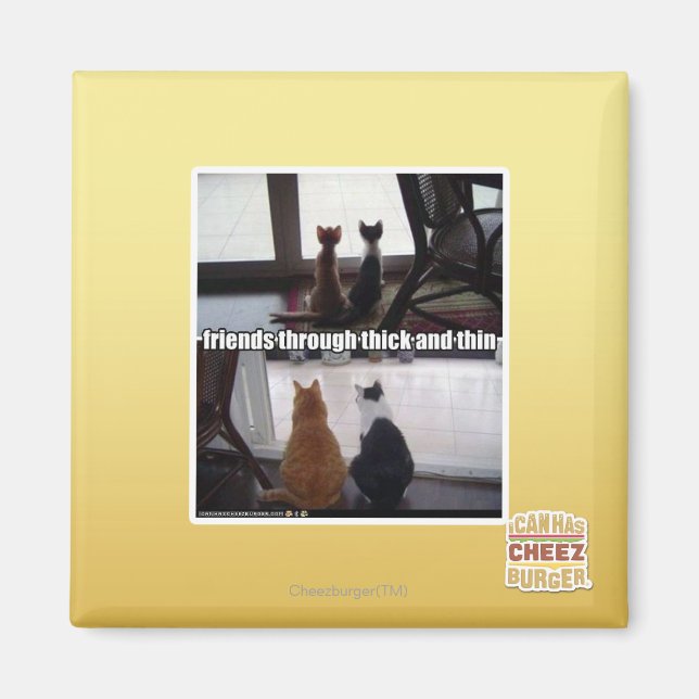 Through thick and thin magnet (Vorne)