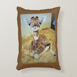 Throw Kissen 12x16 Baby Giraffe