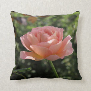 Throw-Kissen mit Rose "Abrahams Darby" Kissen