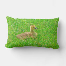 Throw Pillow Canada Goose Lendenkissen