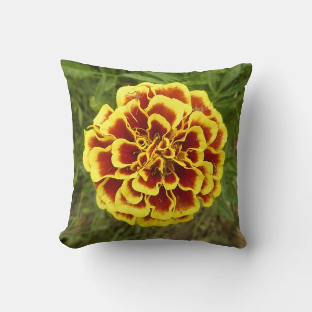 Throw Pillow With Picture Of Marigold On It Kissen (Vorderseite)
