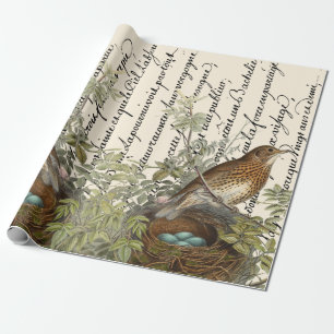 Thrush Bird und Nest Französisch Script Vintag Geschenkpapier