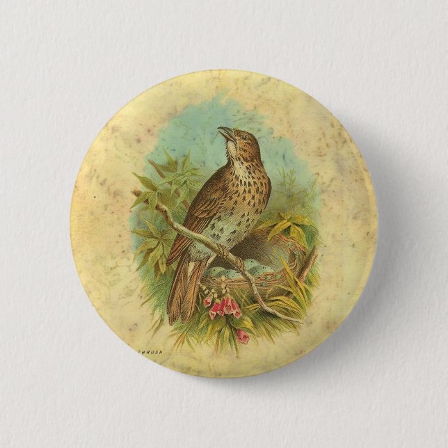 Thrush Vintage Button (Vorderseite)