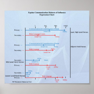 THTBloodstock Equine Communication Chart Poster
