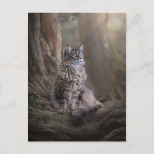 Thula Postcard Postkarte