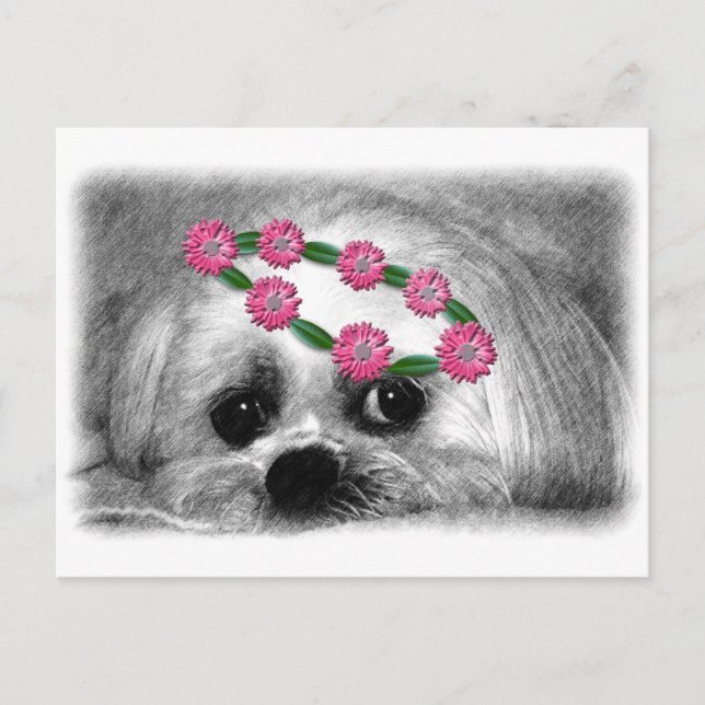 Thumbellina. Ich bin ein schöner Maltese Postkarte (Vorderseite)