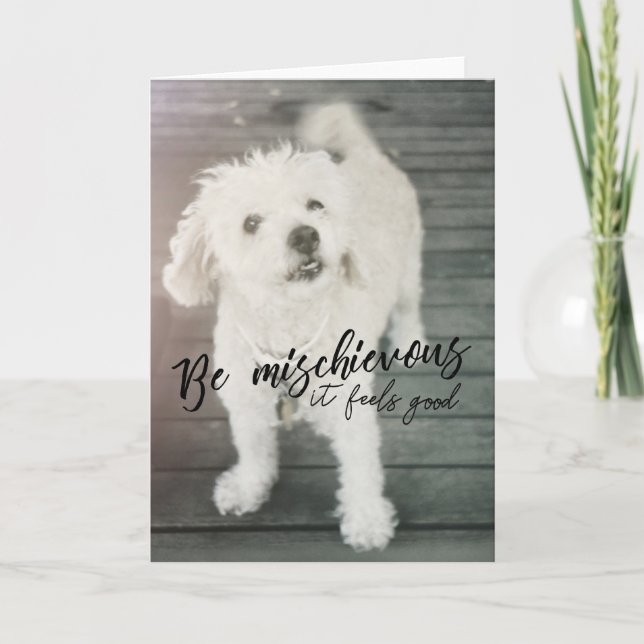 THUMPER DOG Grußkarte Dankeskarte (Vorderseite)