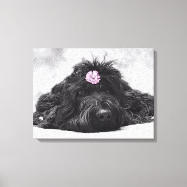 Thumper Portrait Leinwanddruck (Vorderseite)