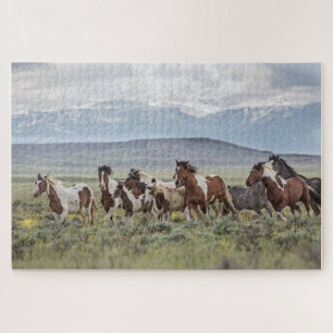 "Thunder and Lightning" Puzzle