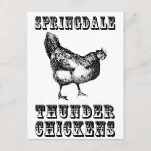 Thunder Chickens Postcard Postkarte
