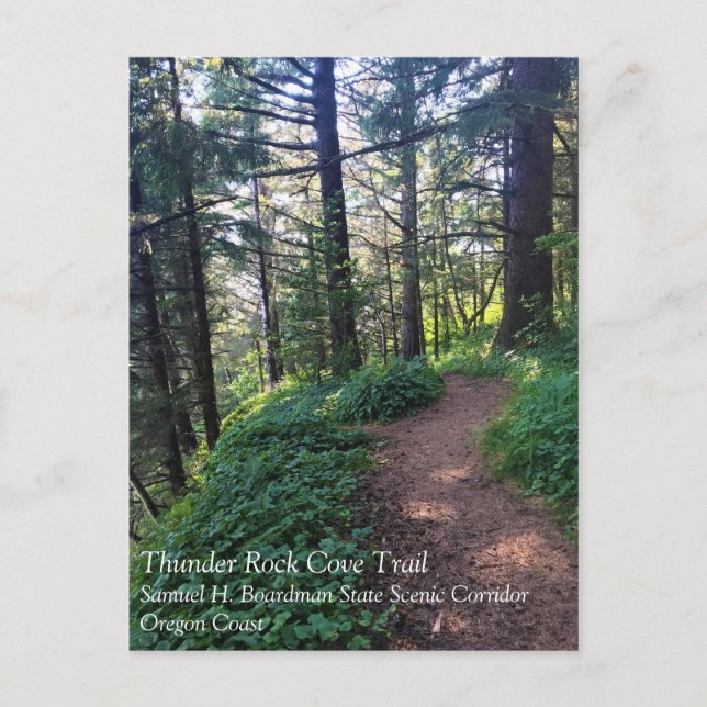 Thunder Rock Cove Trail, Samuel H Boardman, Oregon Postkarte (Vorderseite)