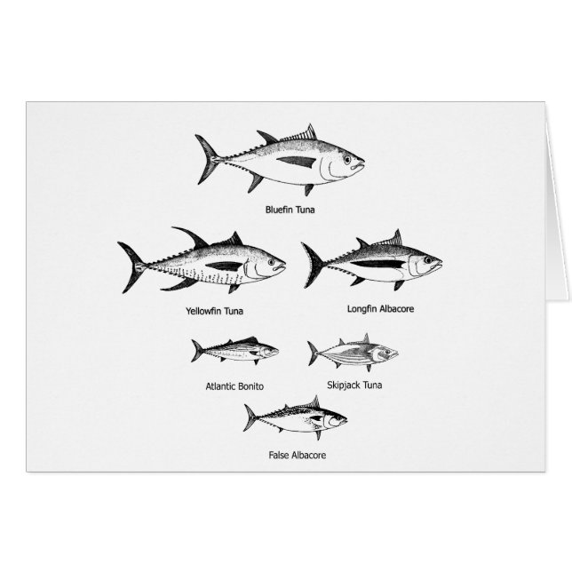 Thunfisch-Spezies-Logo (Vorderseite (Horizontal))