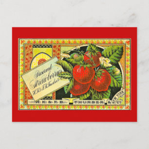 Thurber Erdbeeren Vintage-Kistenetikett Postkarte