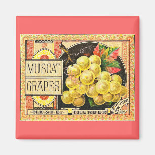 Thurber Muscat-Trauben - Etikett einer Vintage-Kis Magnet