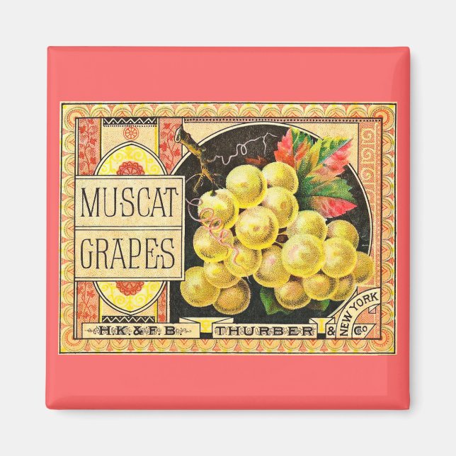Thurber Muscat Trauben - Vintages Kratetikett Magnet (Vorne)