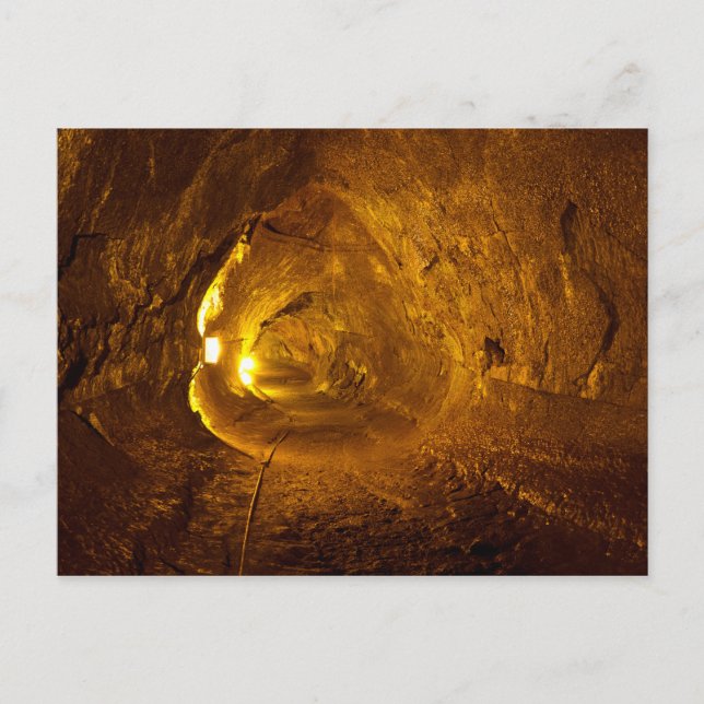 Thurston Lava Tube Hawaii Nationalpark Postkarte (Vorderseite)