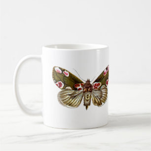 Thyatira batis - The Peach Blossom Moth Kaffeetasse