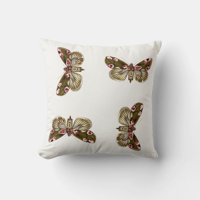 Thyatira batis - The Peach Blossom Moth Kissen (Vorderseite)