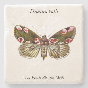Thyatira batis - The Peach Blossom Moth Steinuntersetzer