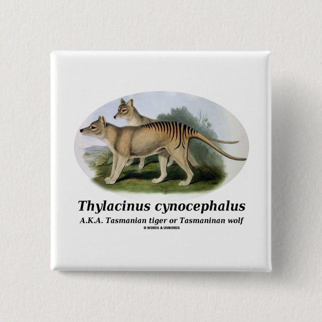 Thylacinus Cynocephalus (tasmanischer Tiger oder Button (Vorderseite)