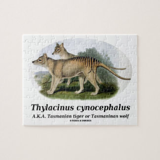 Thylacinus Cynocephalus (tasmanischer Tiger oder Puzzle
