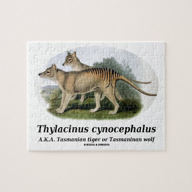 Thylacinus Cynocephalus (tasmanischer Tiger oder Puzzle (Horizontal)