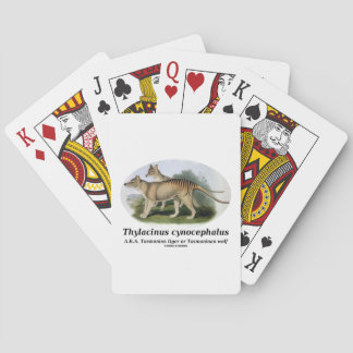 Thylacinus Cynocephalus (tasmanischer Tiger oder Spielkarten