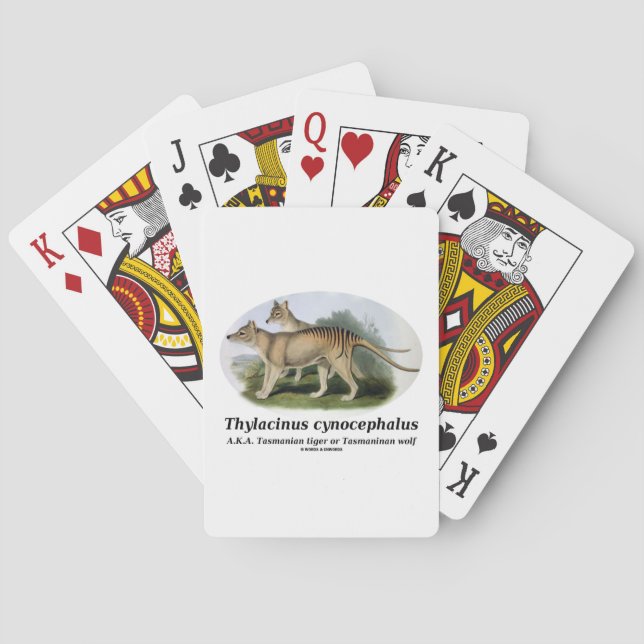 Thylacinus Cynocephalus (tasmanischer Tiger oder Spielkarten (Rückseite)