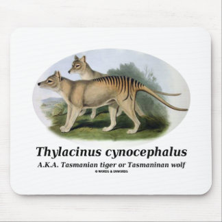 Thylacinus cynocephalus (Tasmanischer Tiger oder W Mousepad