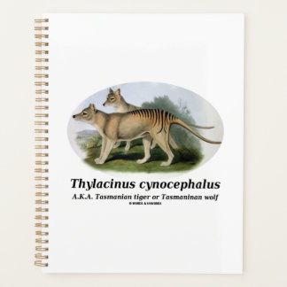 Thylacinus cynocephalus (Tasmanischer Tiger oder W Planer