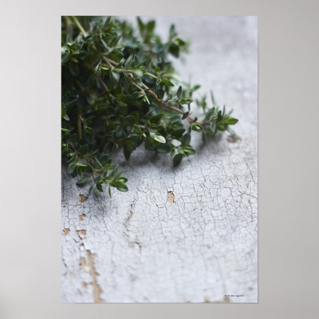 Thyme auf alten Holztisch Poster (Vorne)