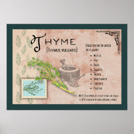 Thyme Herb Botanical Info Poster