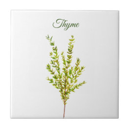 Thyme Herb Greenery Küche Kulinarisch Grüne Pflanz Fliese