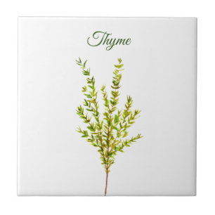 Thyme Herb Greenery Küche Kulinarisch Grüne Pflanz Fliese